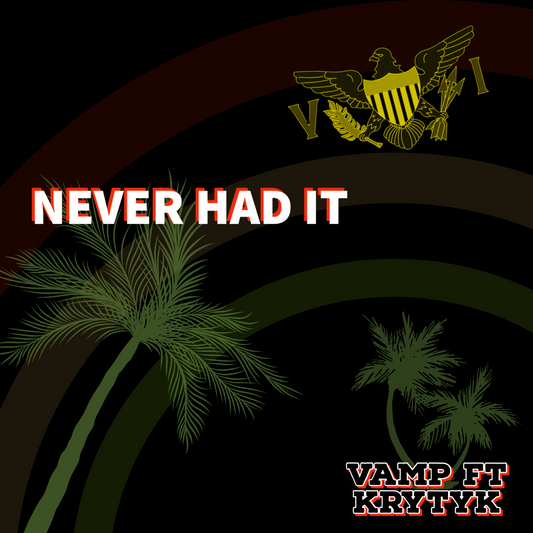 Never Had It by Vamp ft Krytyk