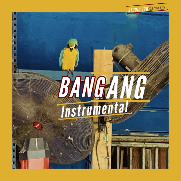 BangGang (Instrumental) - Krytyk